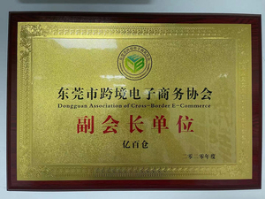 东莞市跨境电子商务协会-副会长单位